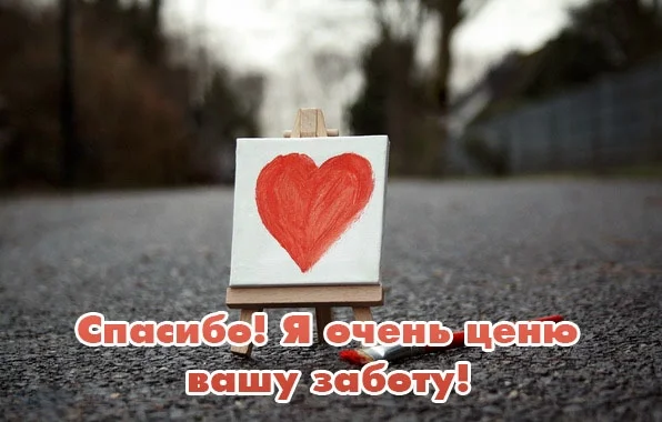 298520f9-1aa8-4927-a50c-e484cae6fa94.webp