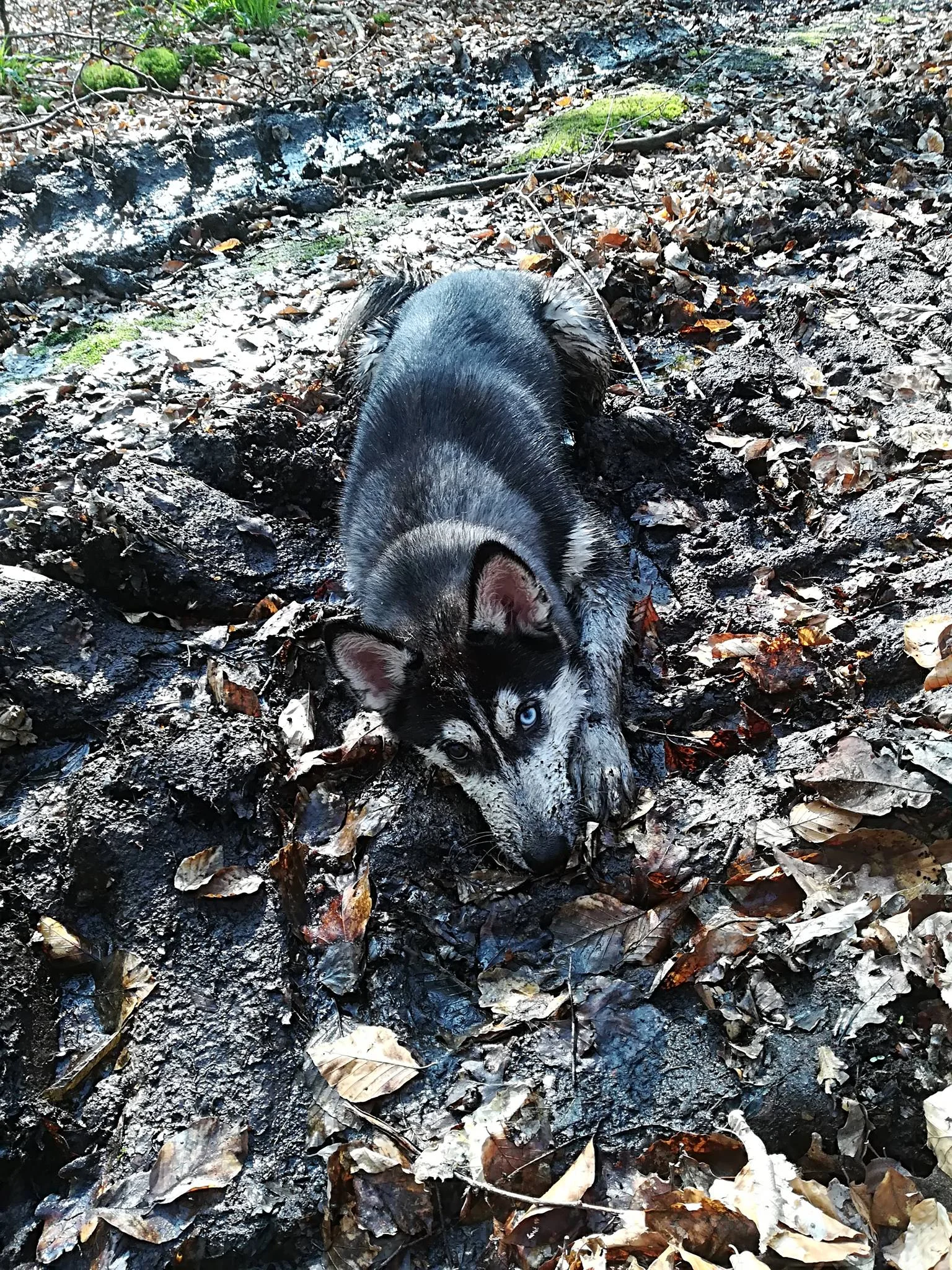 29983503_1657608070988099_7527545560303869996_o (1).webp