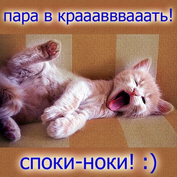 2_3ciC3OGOCn12Hc8.jpg