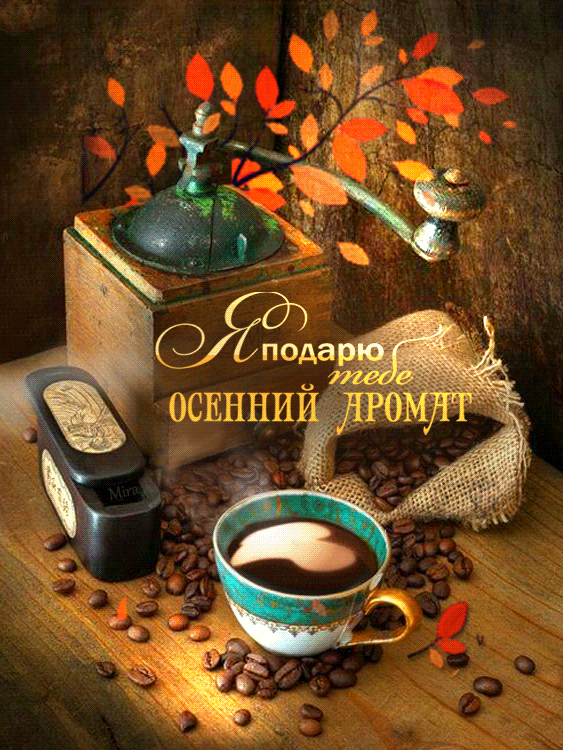 2aae8d4149000abd8e5a3e5e7cfe7dd9-1 (1).gif