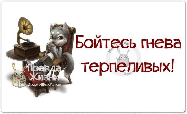 2bs8Ew6NKSw.webp