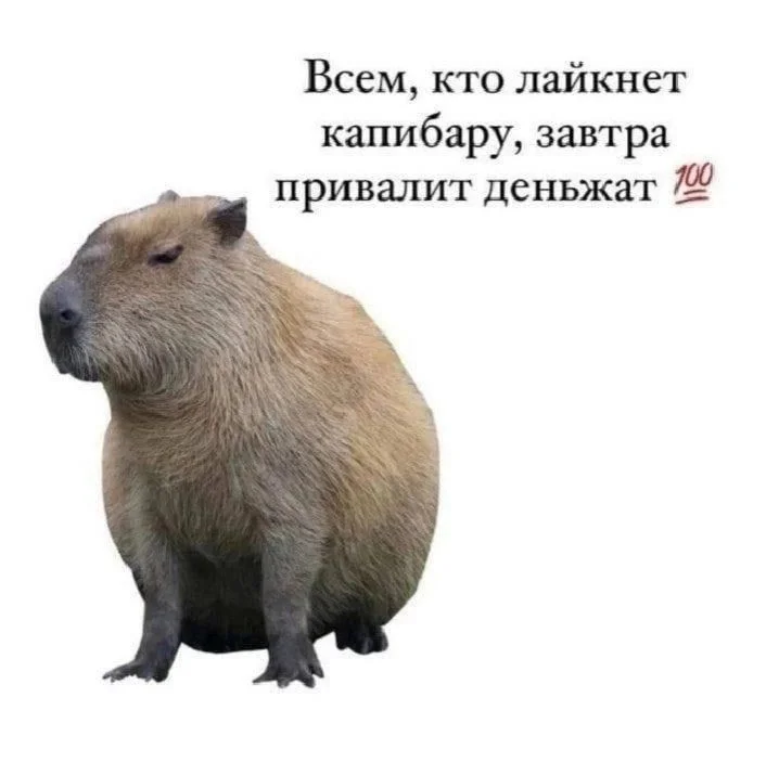 2c3d510a02286da8ff3559a529733127.webp