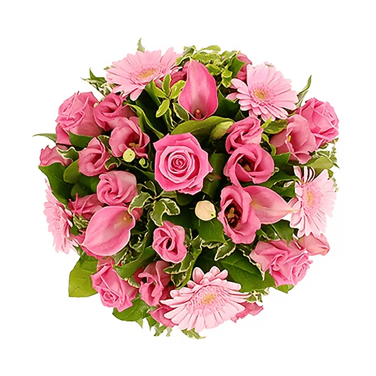 2c573fed1b49ec1969e40035e34a1b36.jpg1024x768.webp
