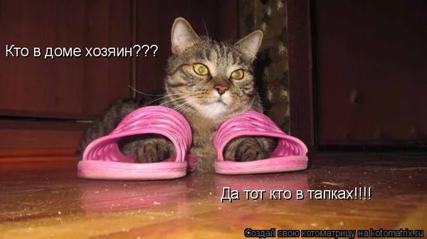 2ce7eb7a56b8ba603b08e5e06b621cfc_i-18475.webp