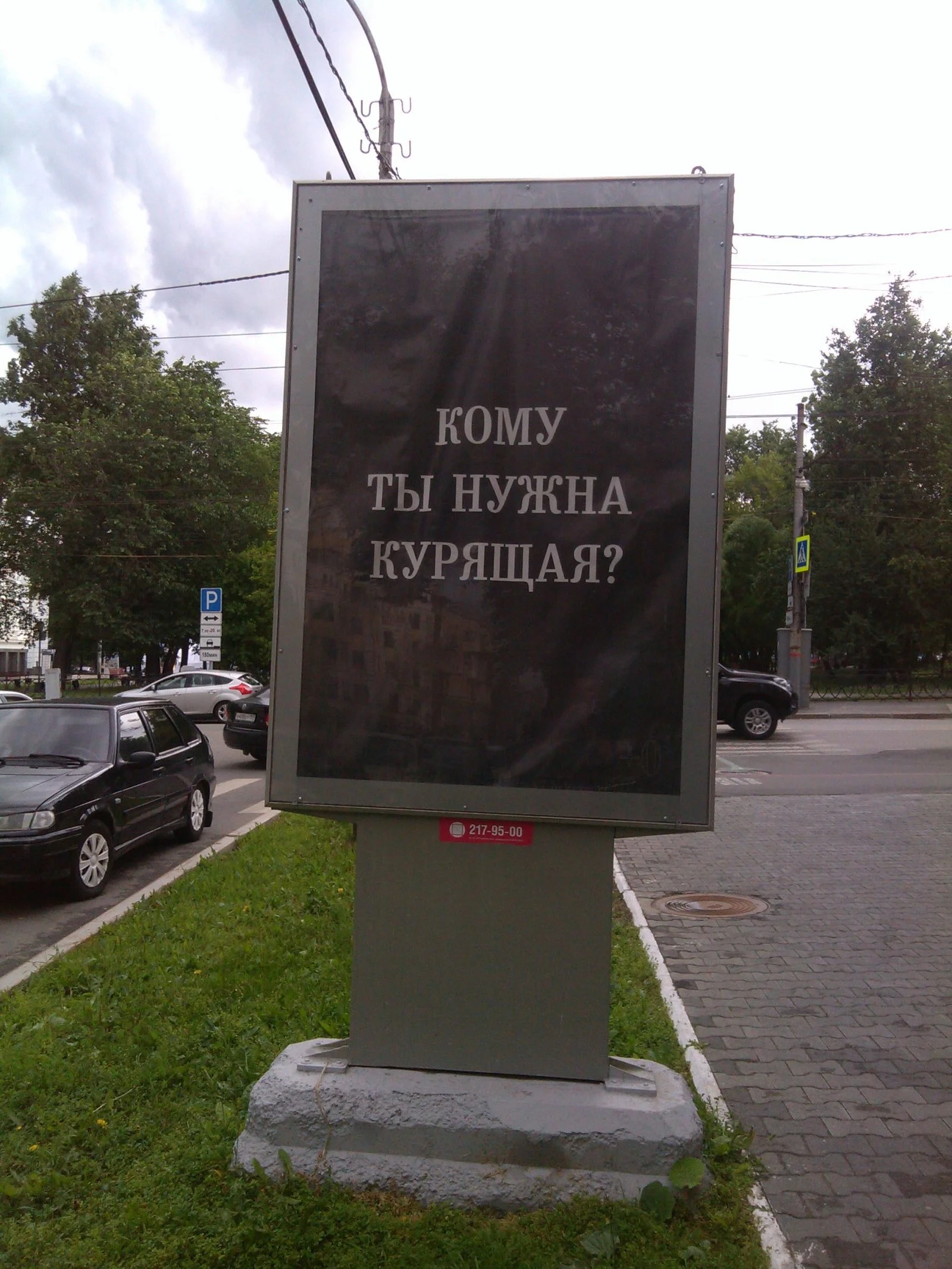 2cfdf74ca40d1408de75d4ee7c817c7c (1).webp