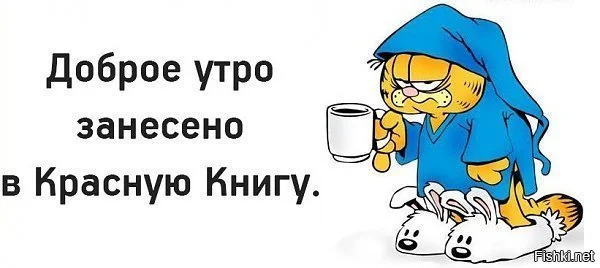 2cff1a294348f08e798492b880385409.webp
