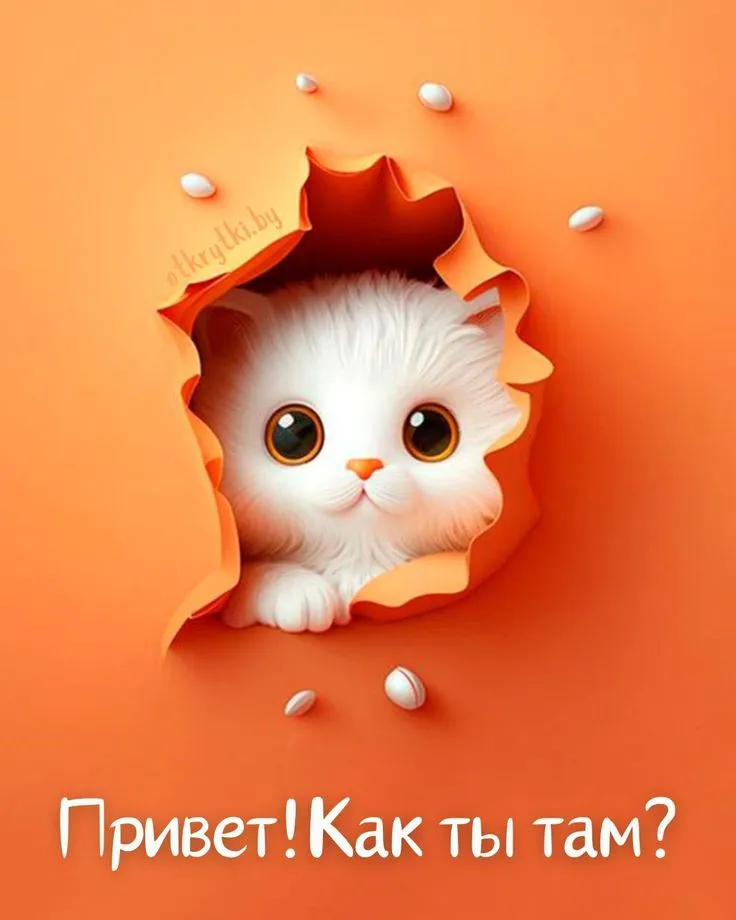2d57e955169ee74ecbaa4c53bd02fedd.webp