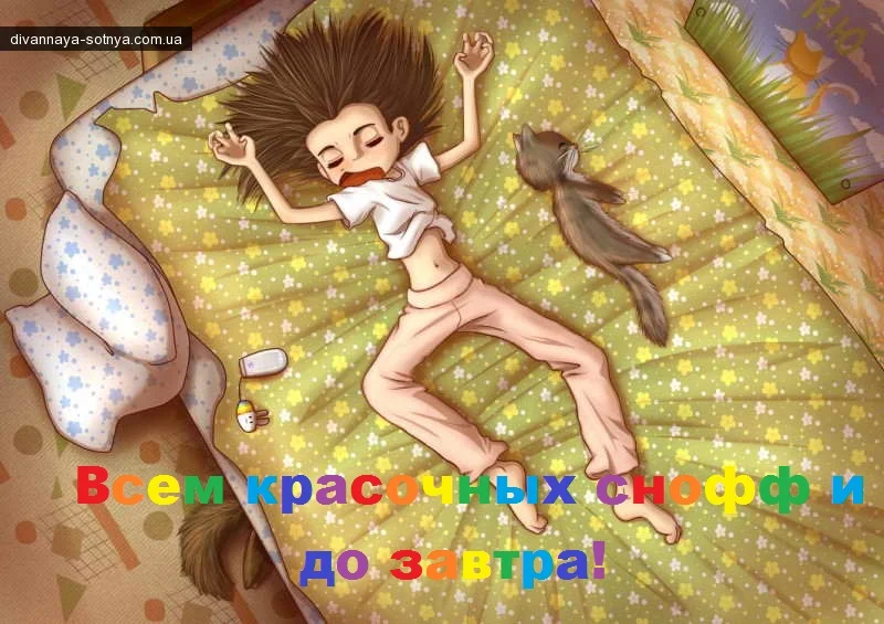 2dcbd78bb4.webp