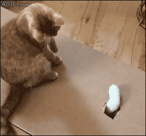 2e36aab4_resizedScaled_740to693.gif