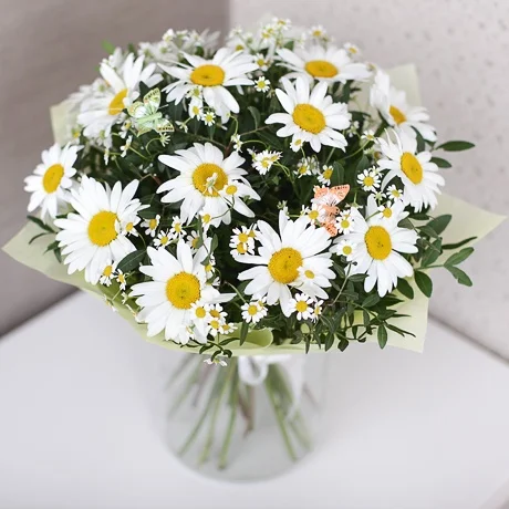 2fa31e874b76478_orig.webp