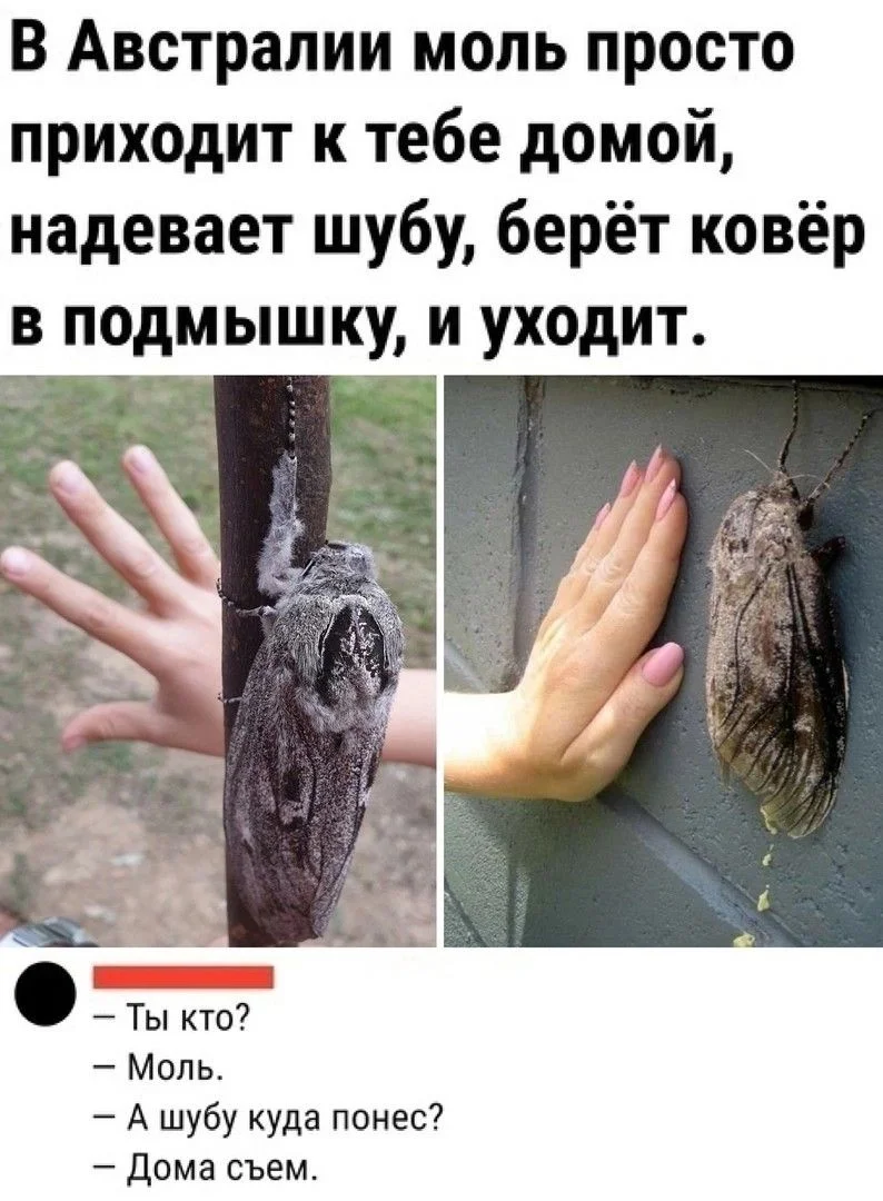 2fb9096abdd5ebbcef3adf2df48bd66a[1].webp