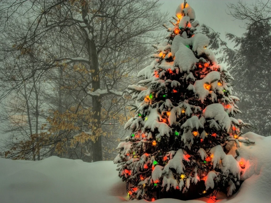 2fons.ru-17875.webp