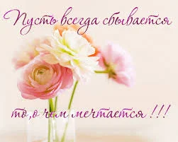 2Q==(4).webp
