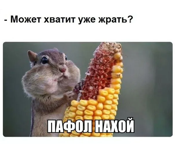 2WsC2MCV0Is.webp