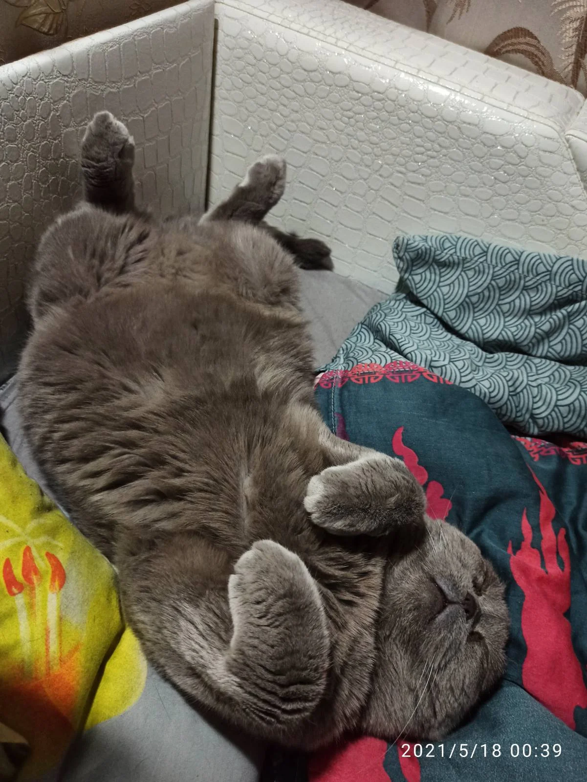 3 @Алёна909.png