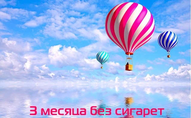 3 месяца (2).webp