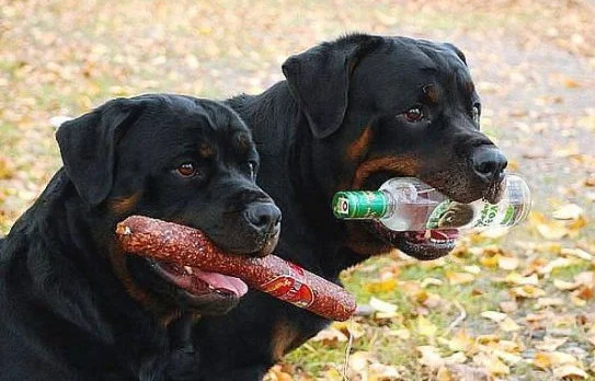 30 дней - копия.webp