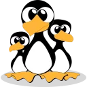 30.webp