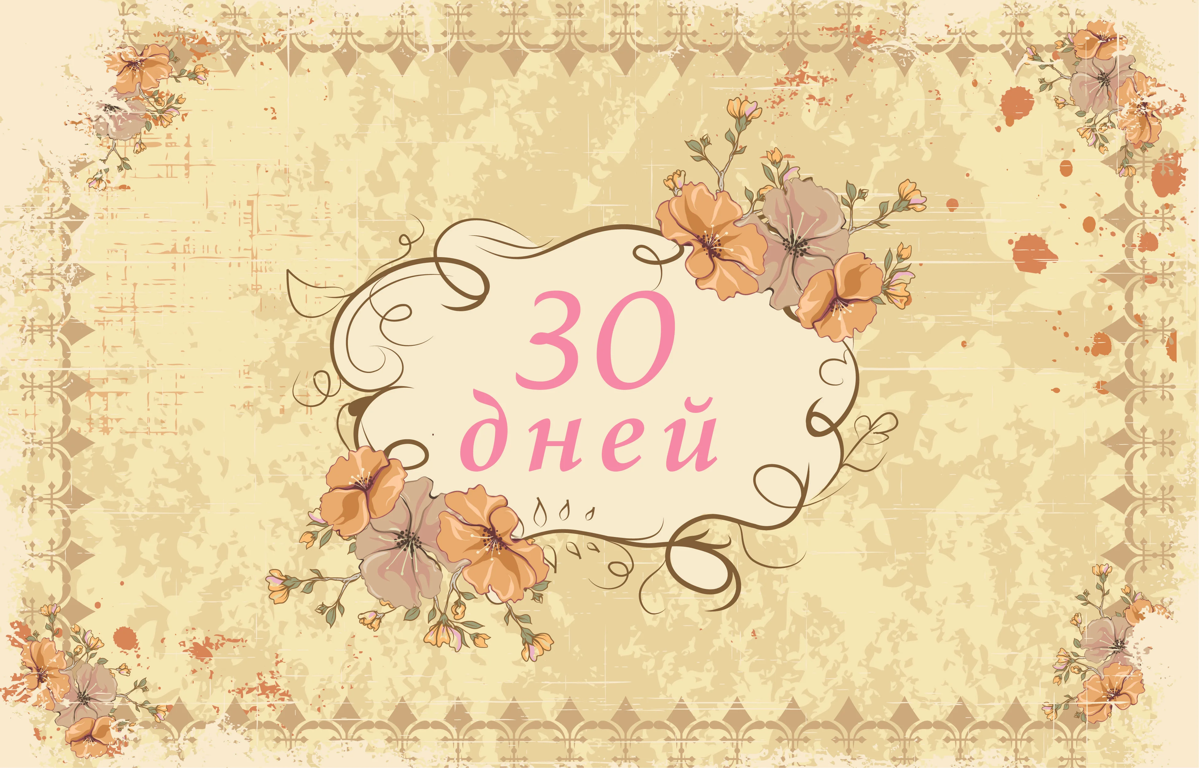30.webp