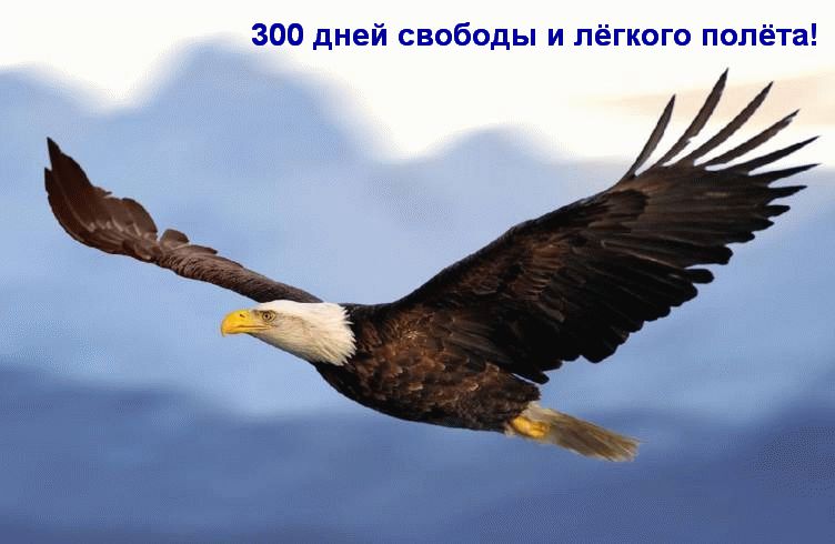 300 дней.jpg