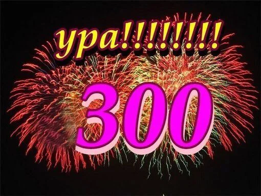 300.webp