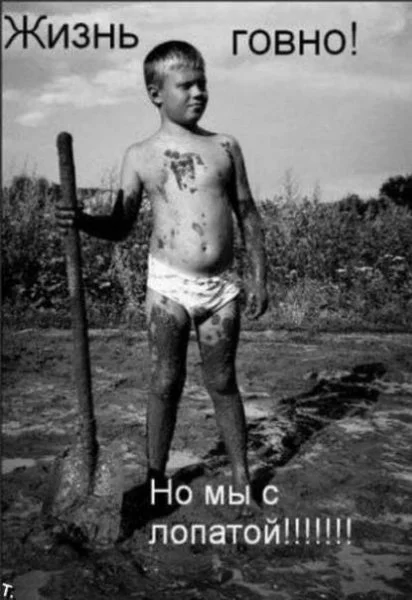 30003beb5d71.webp