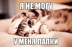 300px-Уменялапки5.png