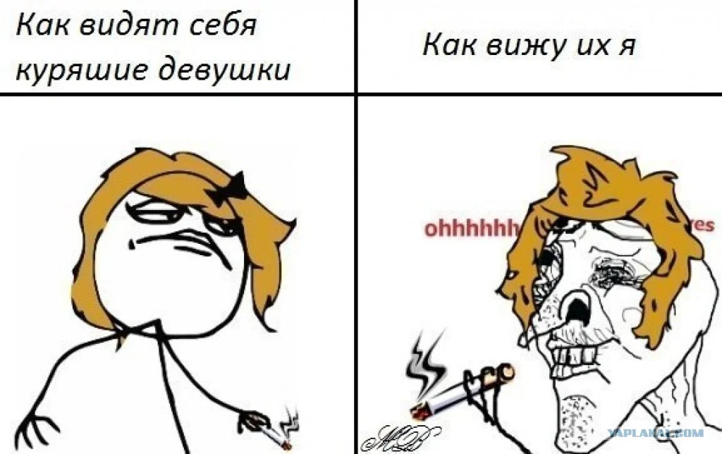 3042274.webp