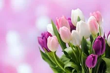 305.webp