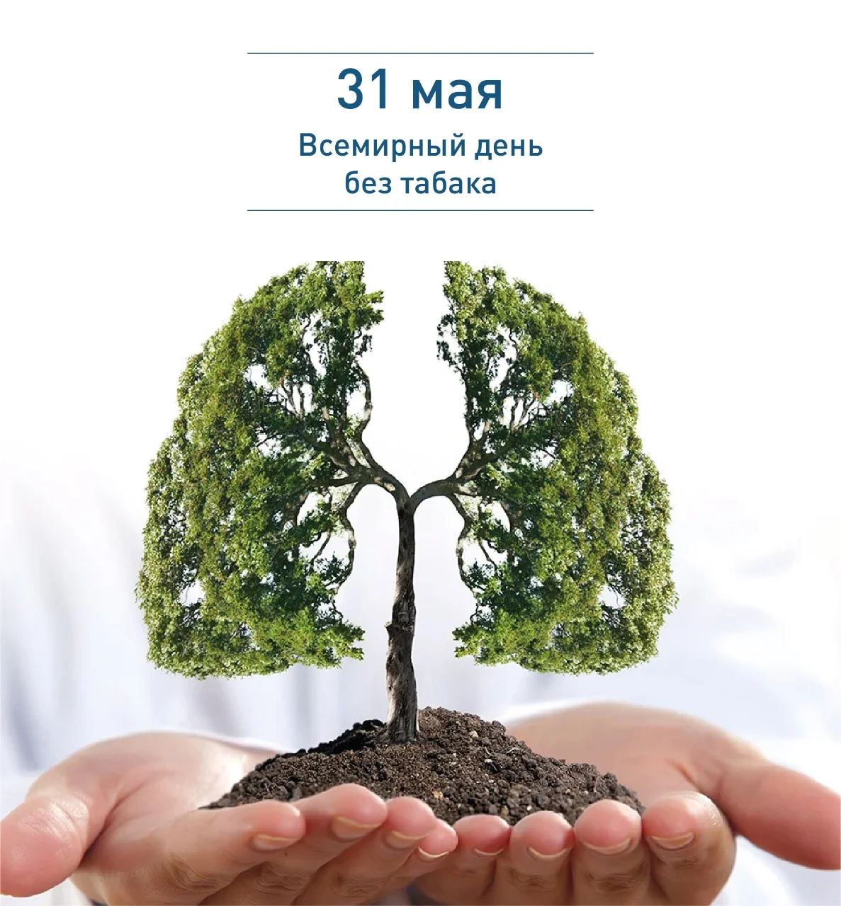 31 мая без табака.webp