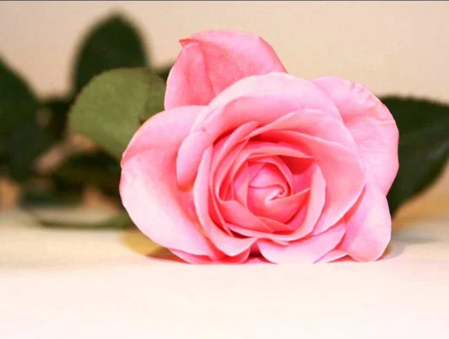 31.webp