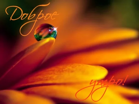 3104971-557372731b53b6fd.webp