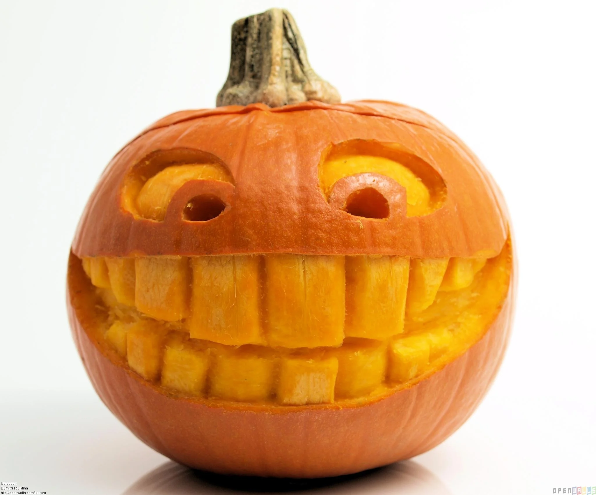 311240-pumpkin.webp
