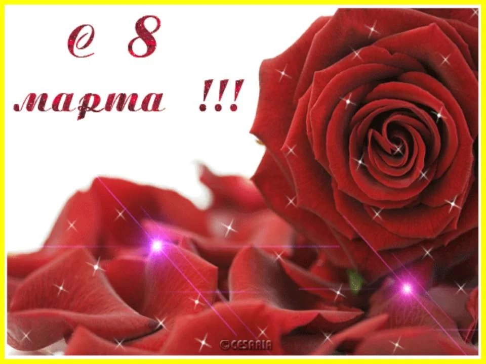 3129749.webp