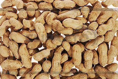 3132551-texturenot-peeled-peanuts.webp