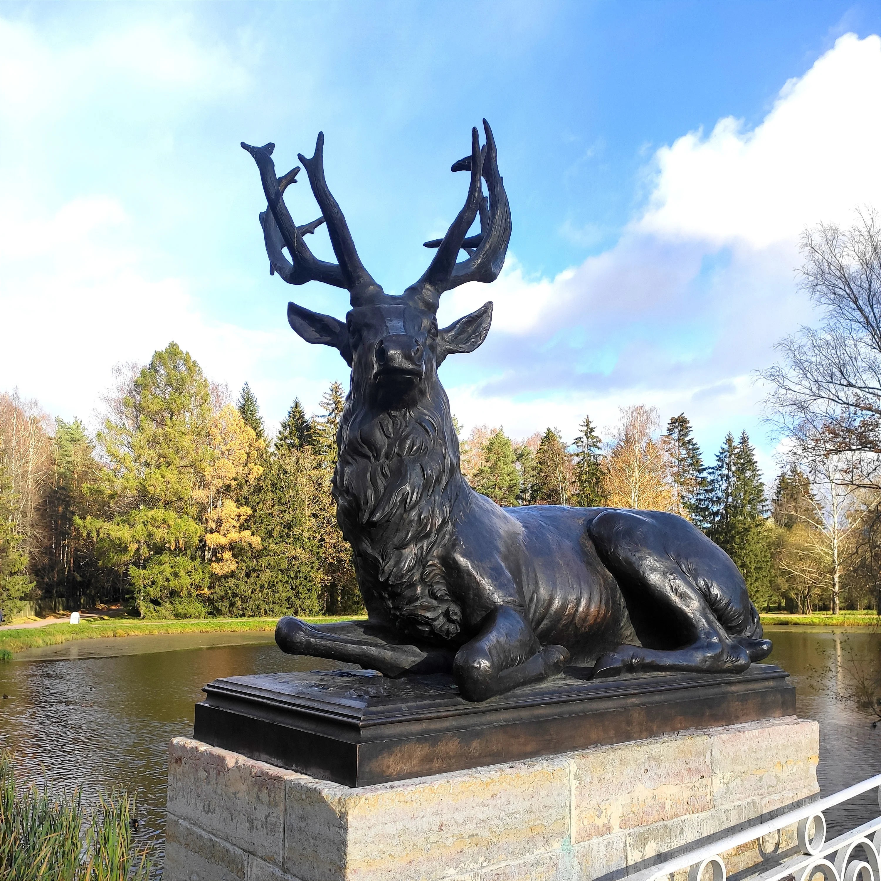 31418cc6-9265-4095-9c63-46db489fe81a-1_all_604-webp.2222305