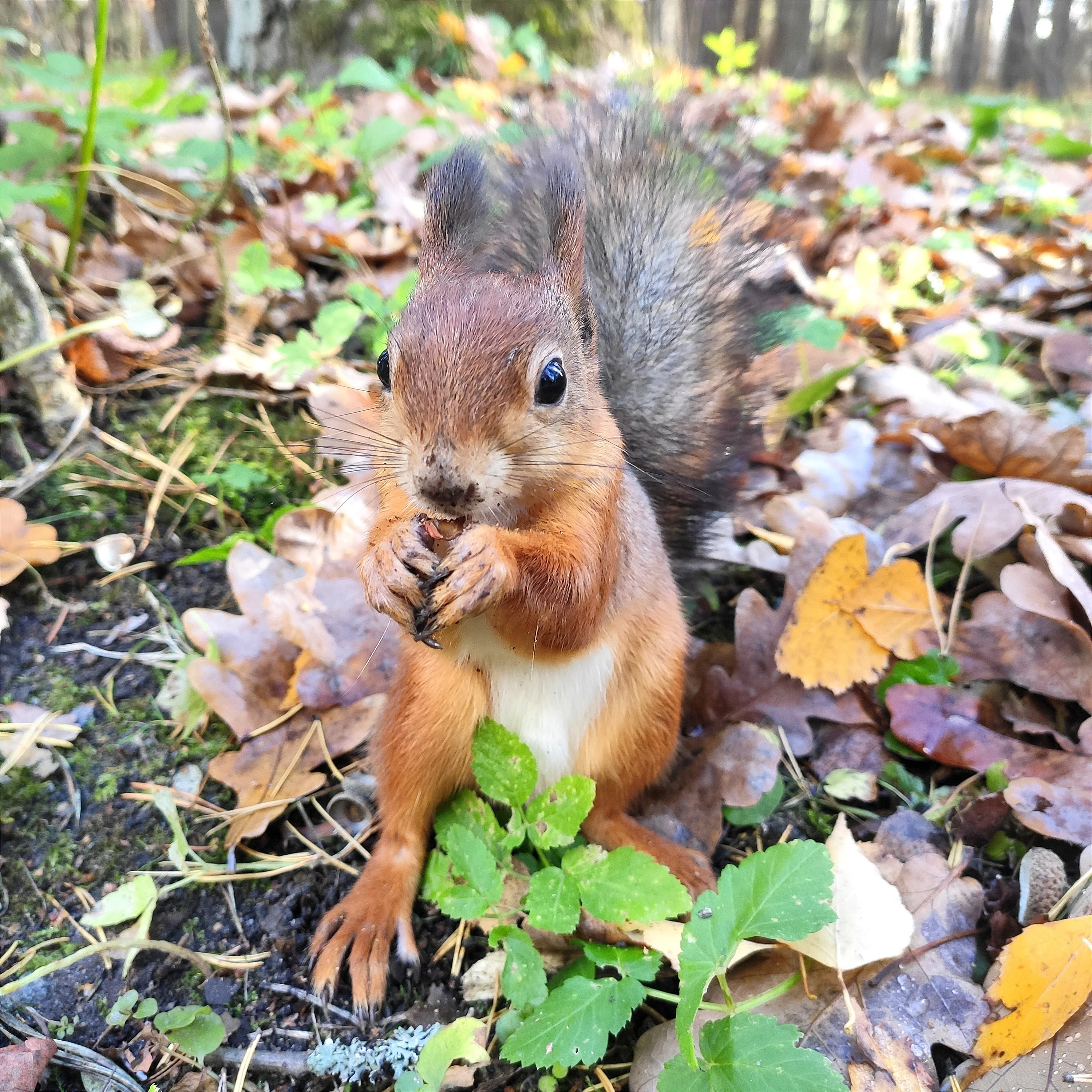 31418cc6-9265-4095-9c63-46db489fe81a-1_all_614-webp.2222304