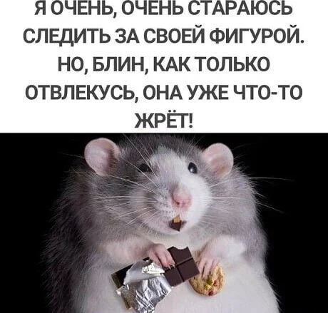 3149ca04edd812c4445122cd1f08b00f[1].webp