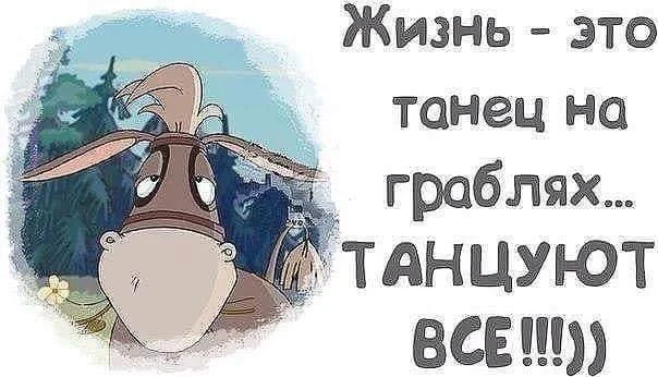 3219139_original.webp