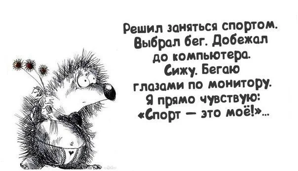 32391.webp