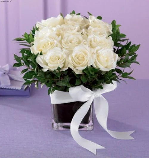 325333.webp
