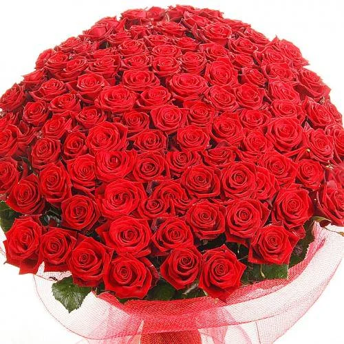 3273d464268a.webp