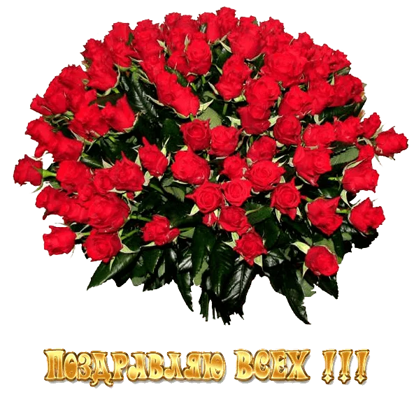 32748773_100rozes_L1.webp