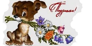 3296894[1].webp