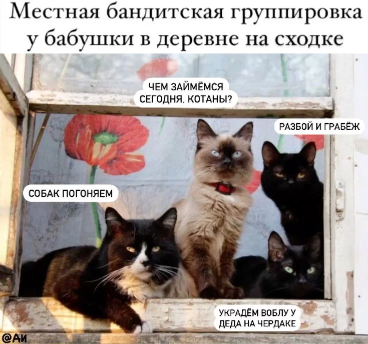 32c9a6207c0c751765622561794c031c[1].webp