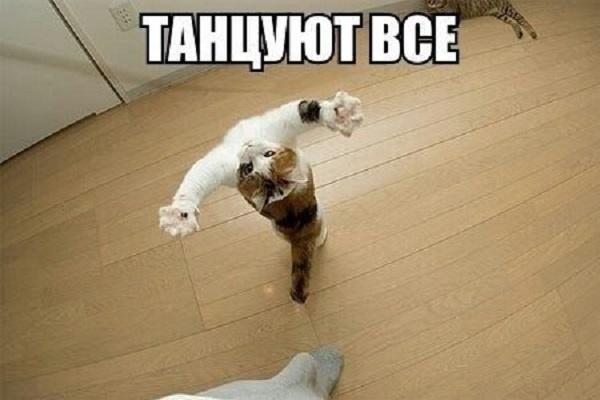 3315_55d44aff3ec06.jpg
