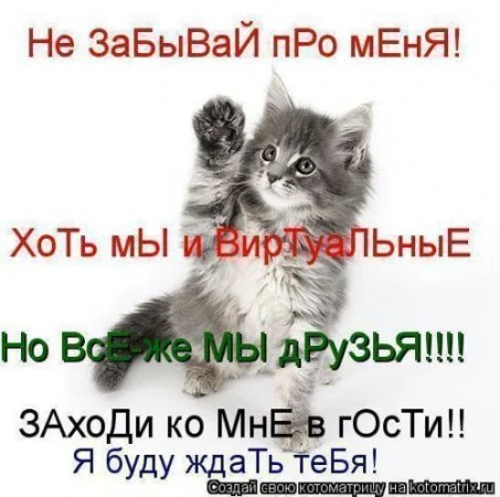 331759786.webp