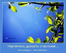 332.webp