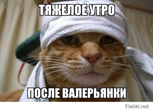 33263487_d029805fad6c1251caf05fe6e36d6e2f_800.webp