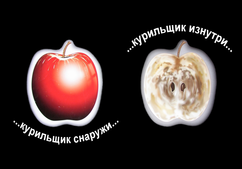 333338293.jpg